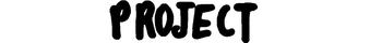 Project