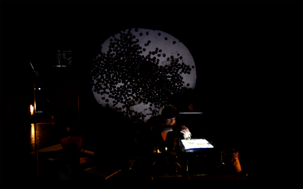 Histoire de la femme, partie 1